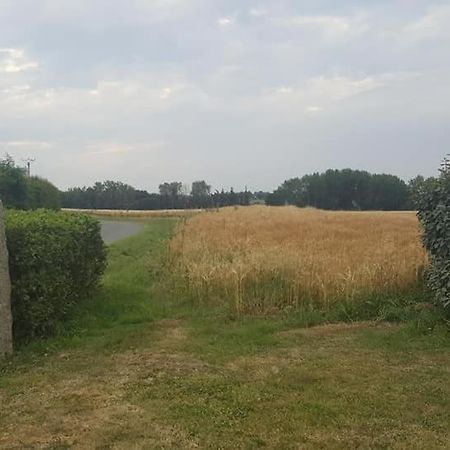 Gite 3 Places Au Coeur Du Tregor Langoat المظهر الخارجي الصورة